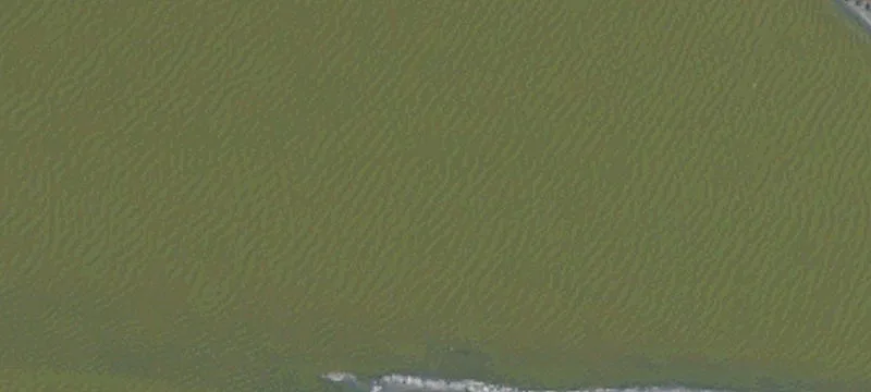 Alviso, CA 95002