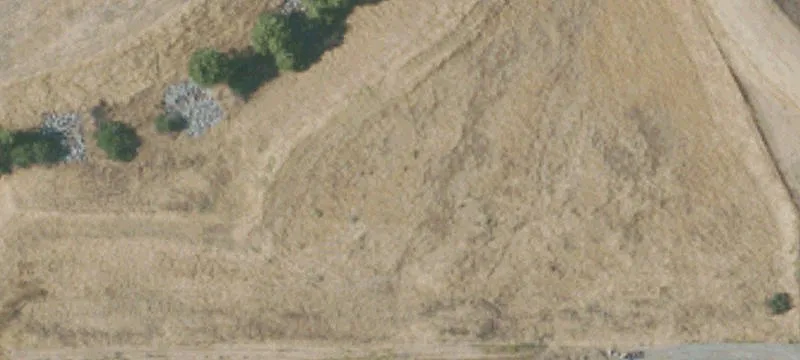 Sequoia Dr