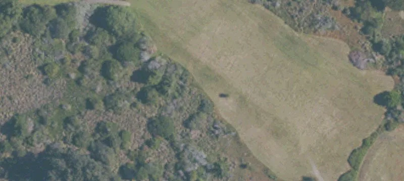 The Sea Ranch, CA 95497