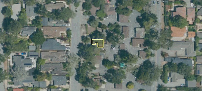 Guadalupe St