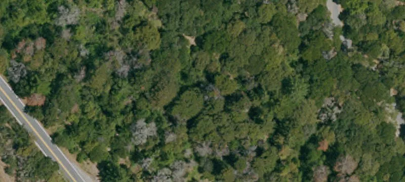 Palo Alto, CA 94304