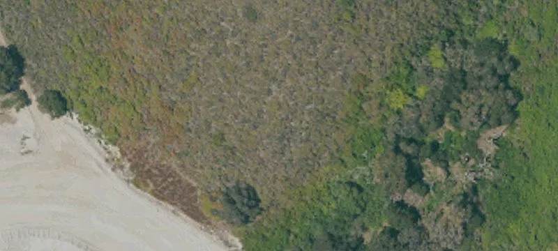 Old Stage Rd