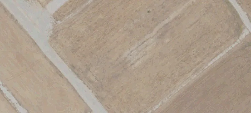 Gonzales, CA 93926