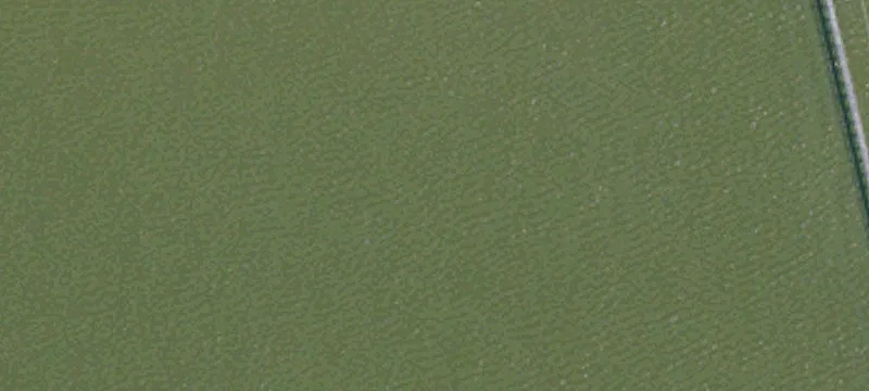 Alviso, CA 95002