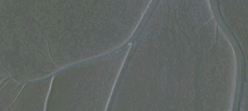 Alviso, CA 95002