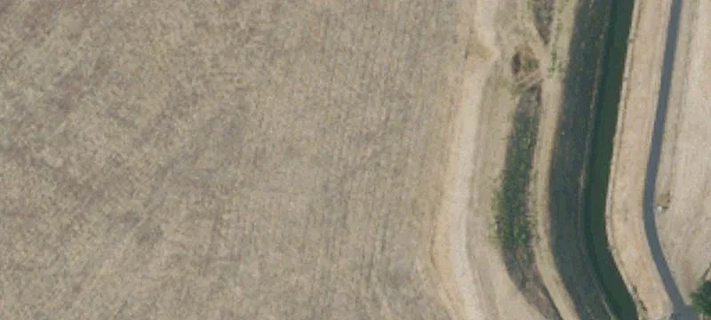 Sequoia Dr