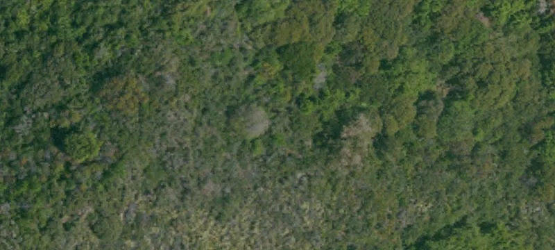 Los Altos Hills, CA 94022