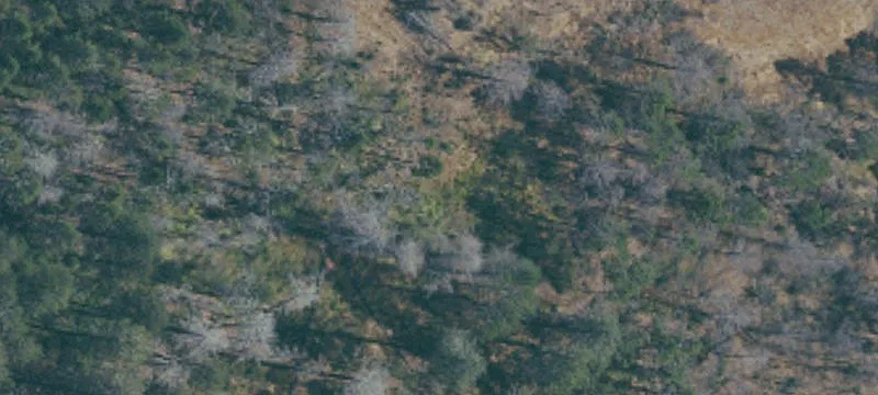Santa Rosa, CA 95409
