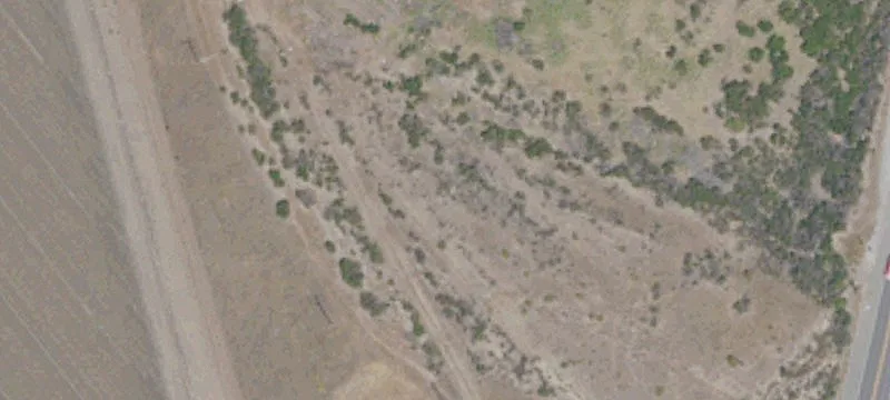 Bolsa Rd
