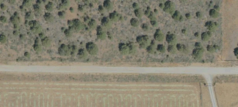 886 Fitch Rd