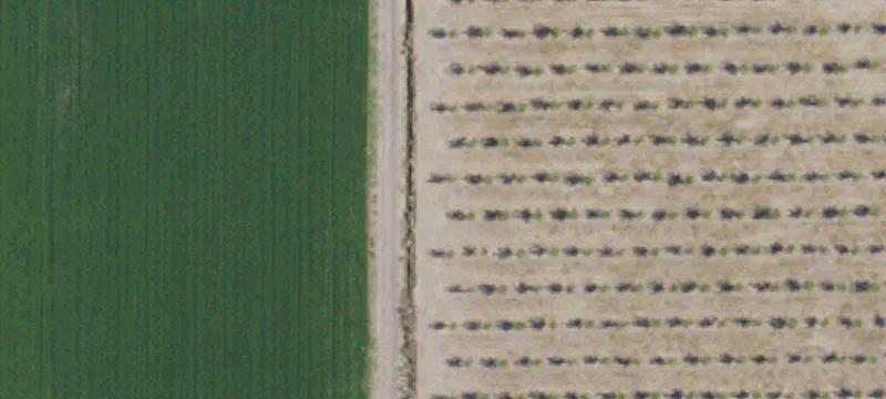 Gridley, CA 95948