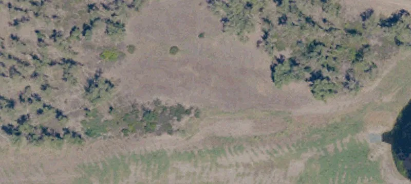 Oroville, CA 95965
