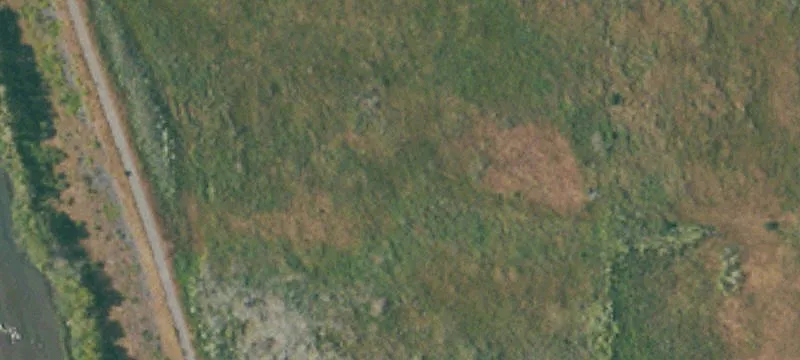 Fortuna, CA 95540