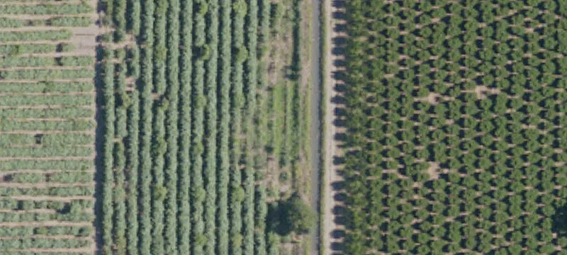Gridley, CA 95948