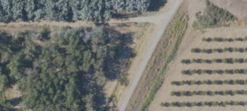 Biggs, CA 95917