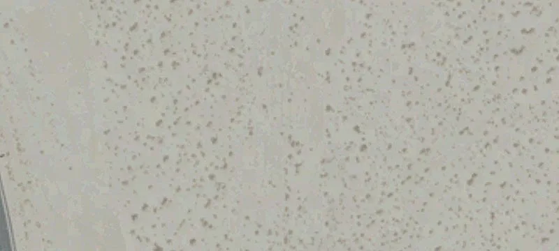 74699 Technology Dr