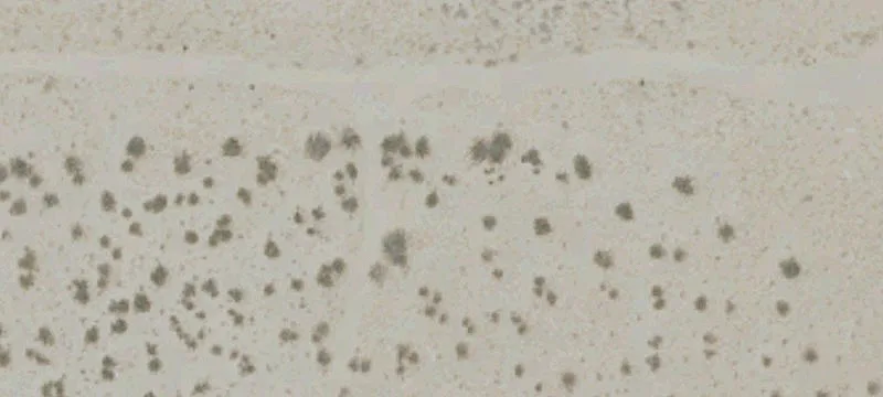 Desert Hot Springs, CA 92240