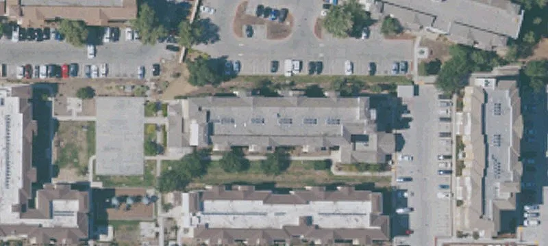 Carol Ln