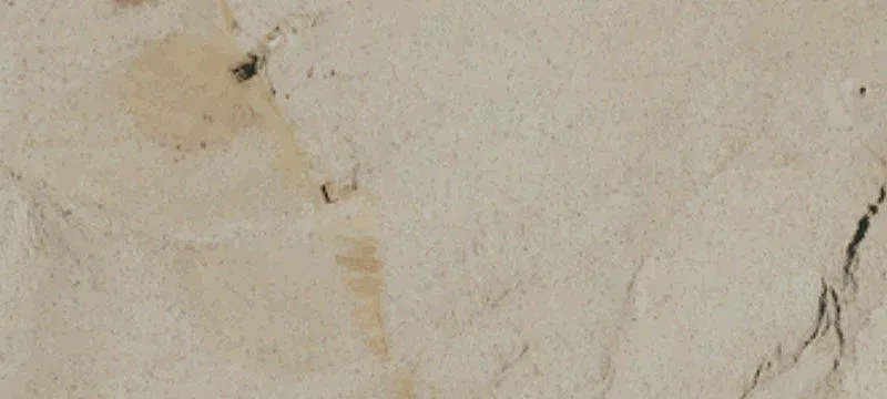 Of Tecopa