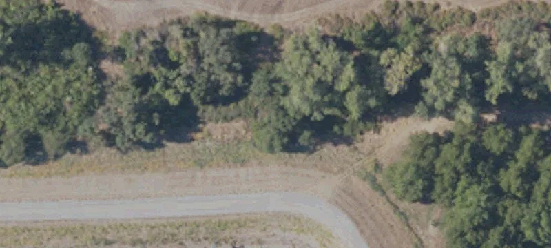 Biggs, CA 95917