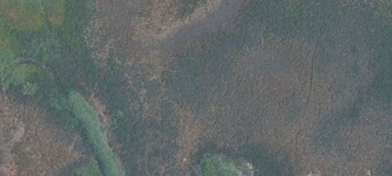 Willow Pass Rd