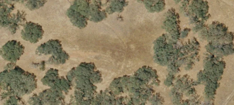 Scott Rd