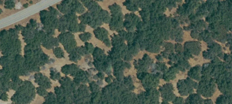 46577 Opah Dr