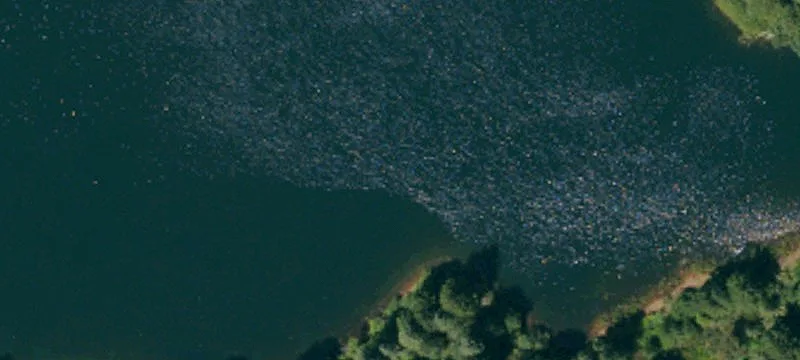 Oroville, CA 95966