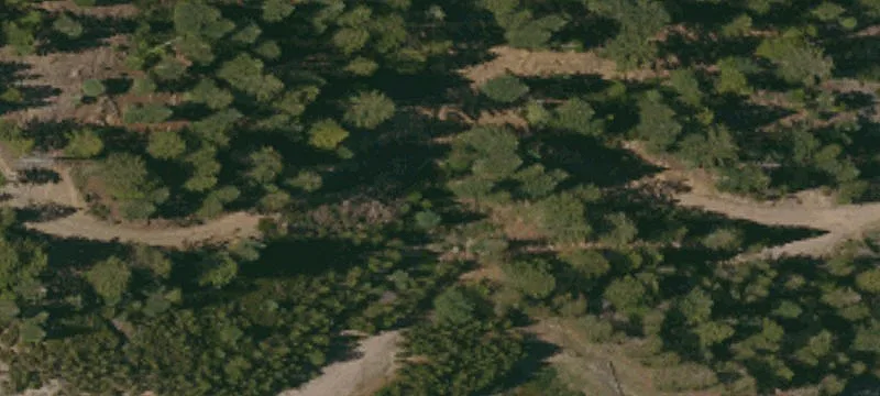 Oak Run, CA 96069