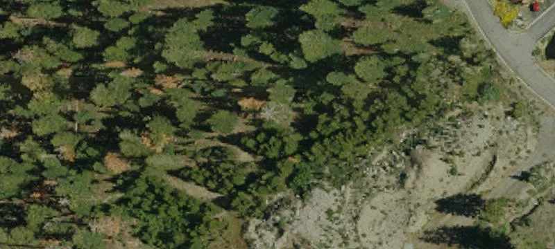 Pioneer, CA 95666