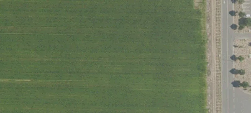 Lodi, CA 95242