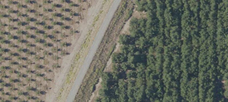 Biggs, CA 95917