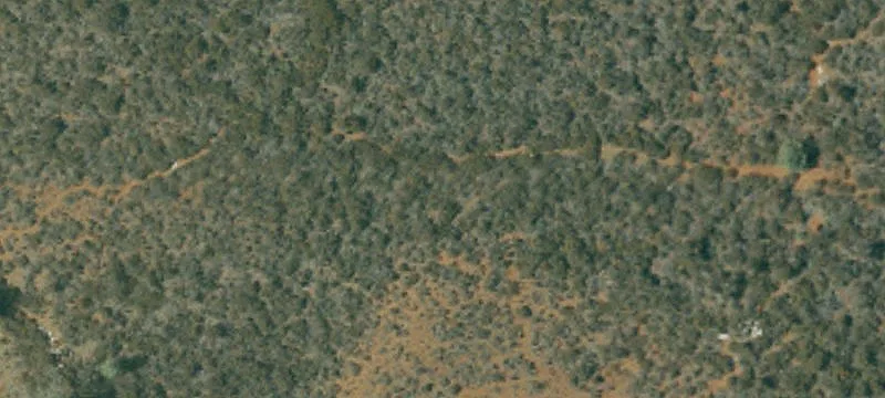 Cameron Park, CA 95682