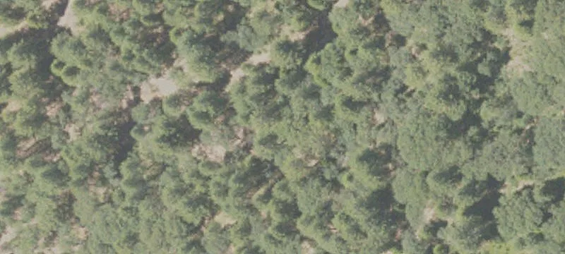 Grass Valley, CA 95945