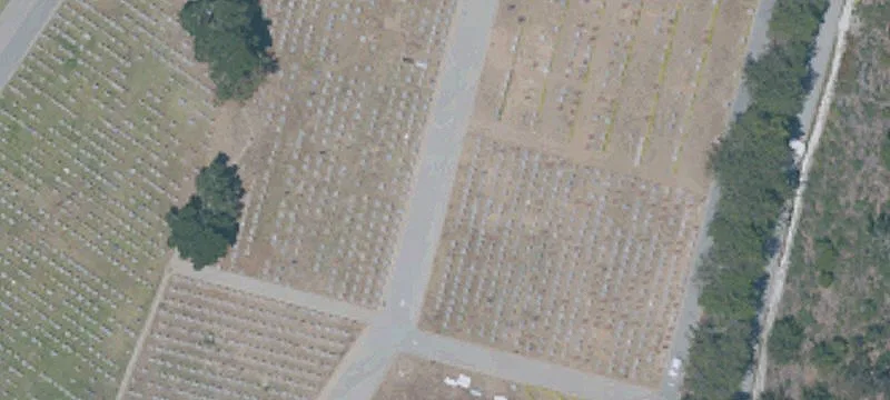 Colma, CA 94014