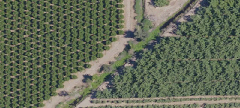 Gridley, CA 95948