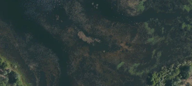 Oroville, CA 95966