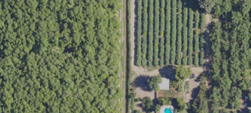 Gridley, CA 95948
