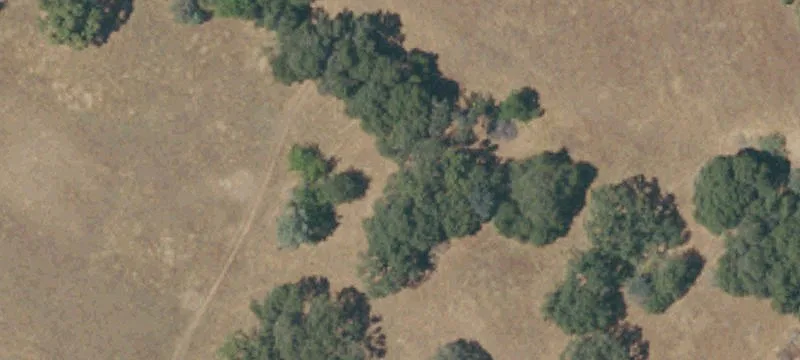 Sutter Creek, CA 95685