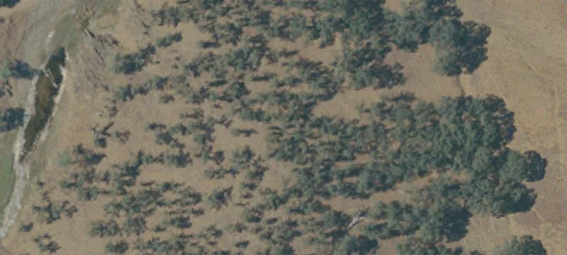 Copperopolis, CA 95228