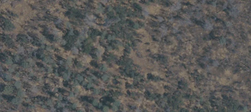 Oroville, CA 95965