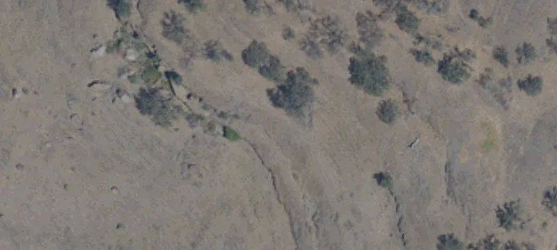 Gridley, CA 95948