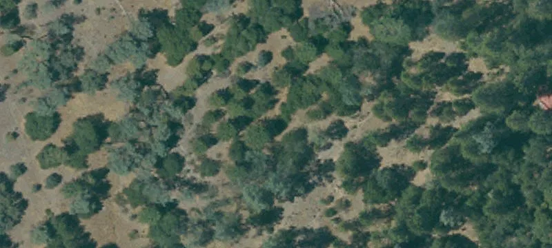 Lotus, CA 95651