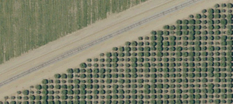 Lemoore, CA 93230
