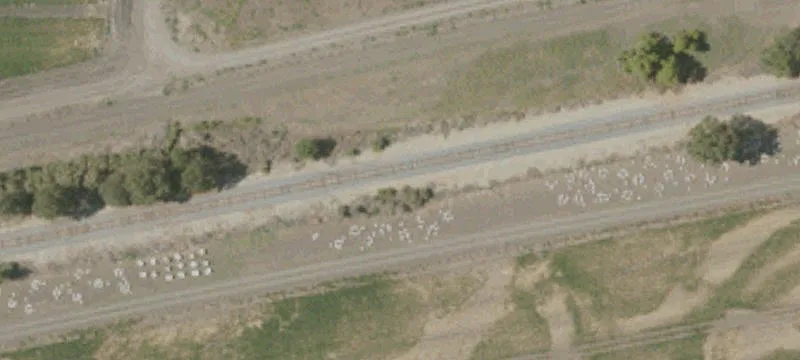 Lemoore, CA 93230