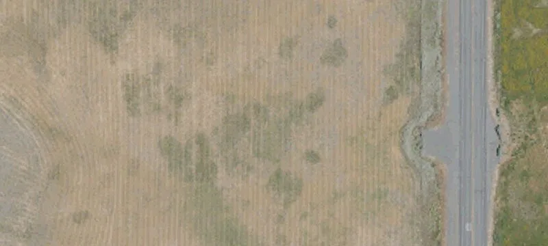 Susanville, CA 96130