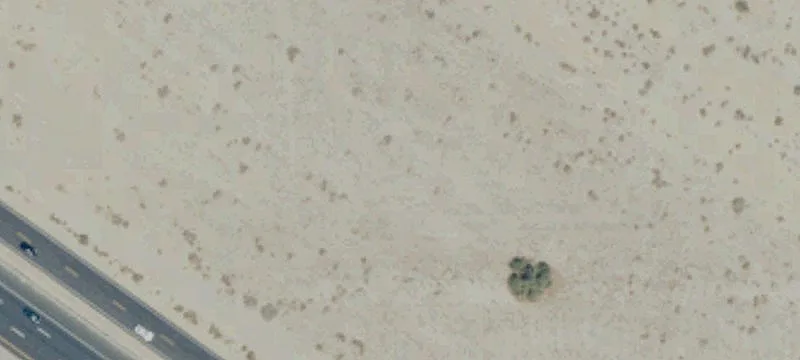Palm Desert, CA 92211