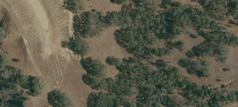 Little Panoche