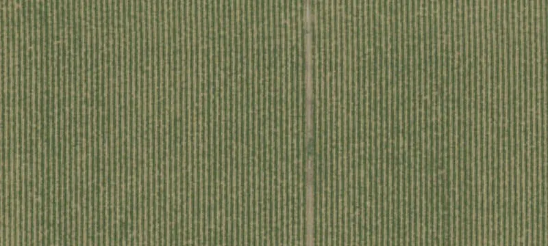 Huron, CA 93234