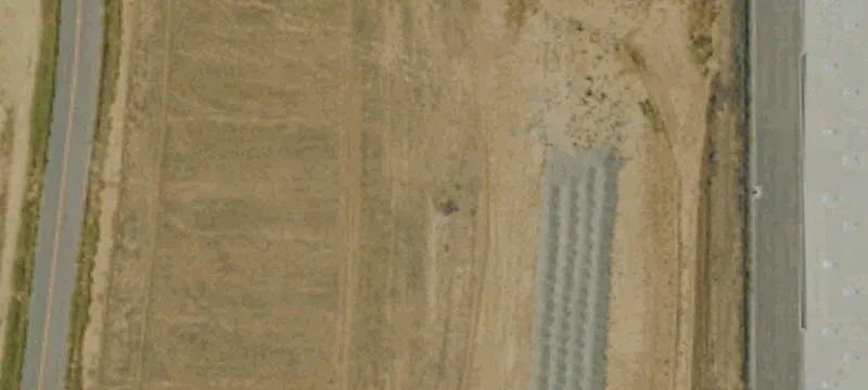 Shafter, CA 93263